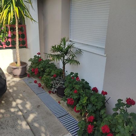 Apartments Ratkovic เทรบินเย ภายนอก รูปภาพ