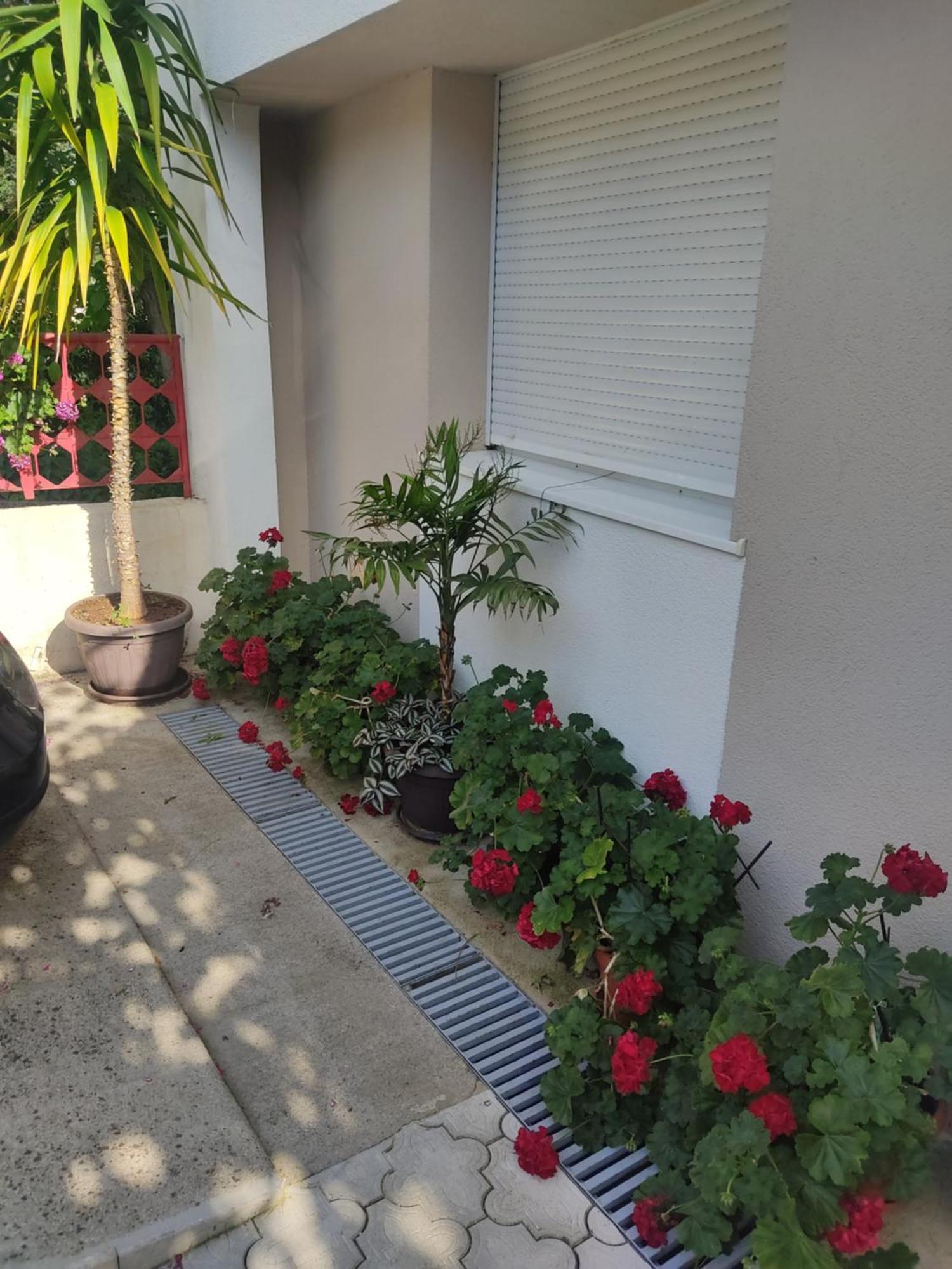 Apartments Ratkovic เทรบินเย ภายนอก รูปภาพ
